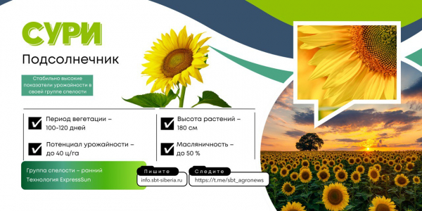 СУРИ